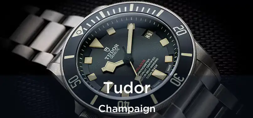  Tudor Champaign