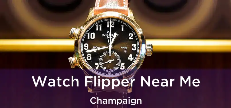  Watch Flipper Near Me Champaign